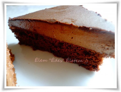 Lúdláb