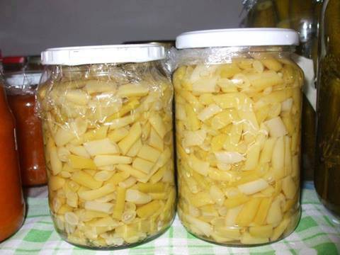 zöldbab