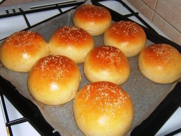 HAMBURGER-BUCI