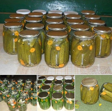 Castraveti in otet(bulgaresti)