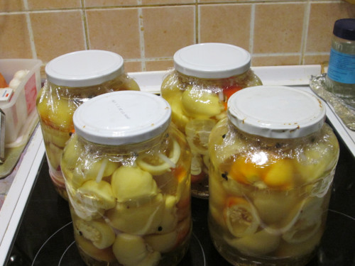 381. Ecetes almapaprika