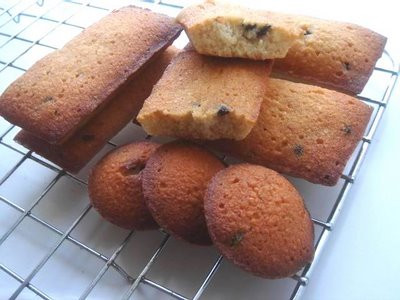 Financier (Mauthner Zsófi)